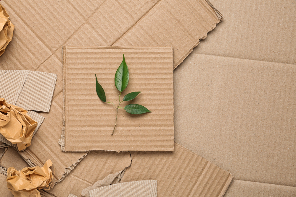 Pieces of cardboard with a leaf on it